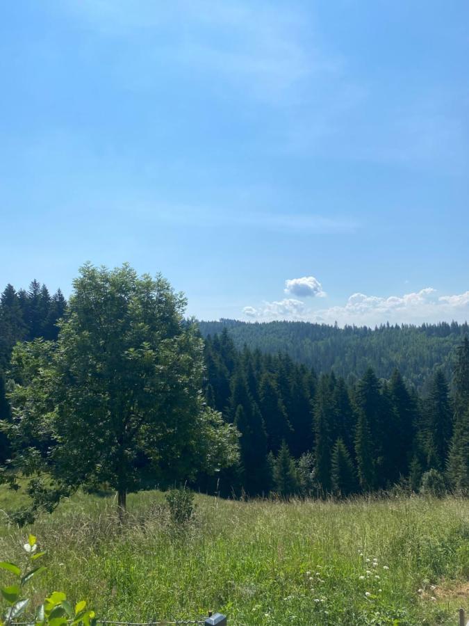 Bauernhof Pod Turbaczem